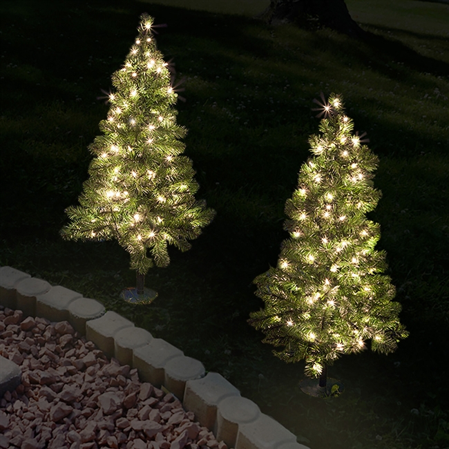 Christmas Tree Pathway Lights